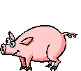 Schwein tanzend 1