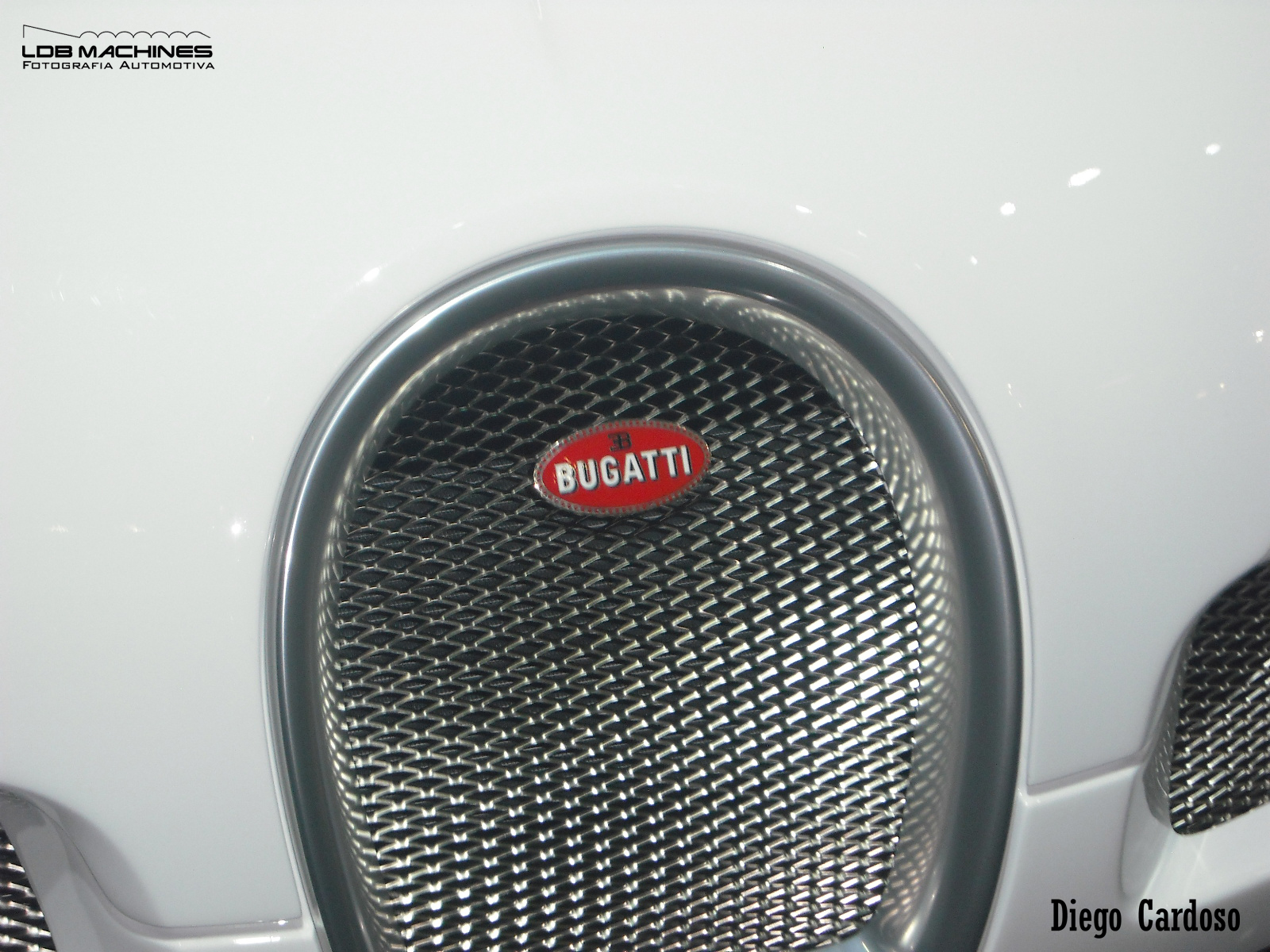 Bugatti Veyron Grand Sport 19