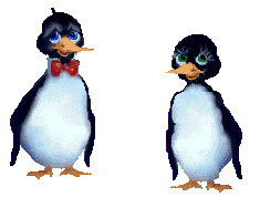 Pinguine 11