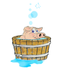 Schwein waschen im Trog 12