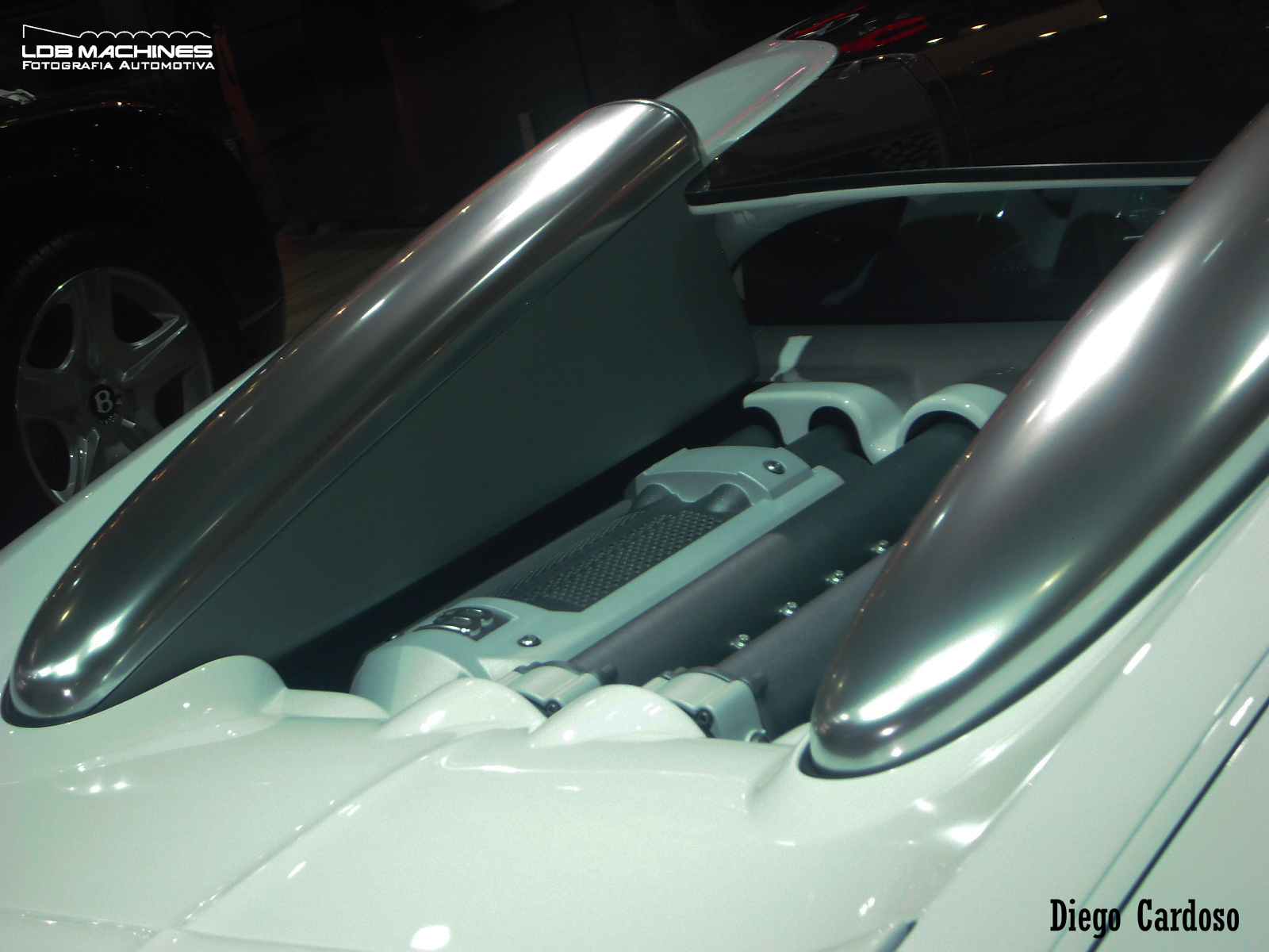 Bugatti Veyron Grand Sport 43